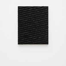 Tom Wilmott