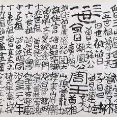 Tsang Tsou Choi 曾灶財 King of Kowloon