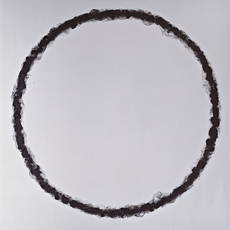 Annette Lemieux