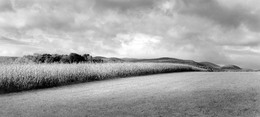 Brian Kosoff, ‘Connecticut Field’, 2003, Gallery 270