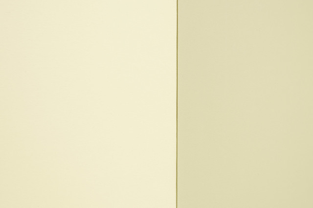 Olympia (334 Stripes) — Yağız Özgen (2015)