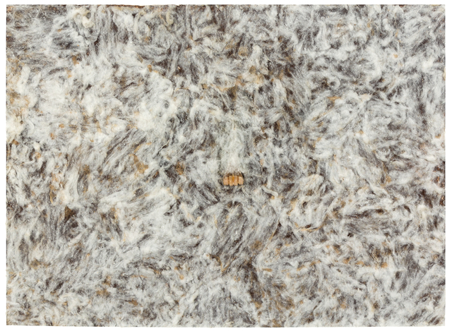 Tania Bruguera, ‘Untitled’, Hindman