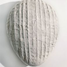 Mary Ann Unger