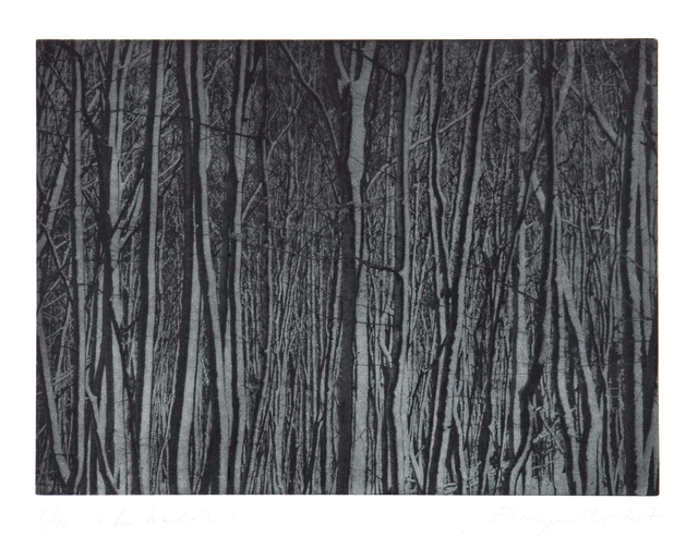 Christiane Baumgartner, ‘Im Walde’, 2007, Cristea Roberts Gallery