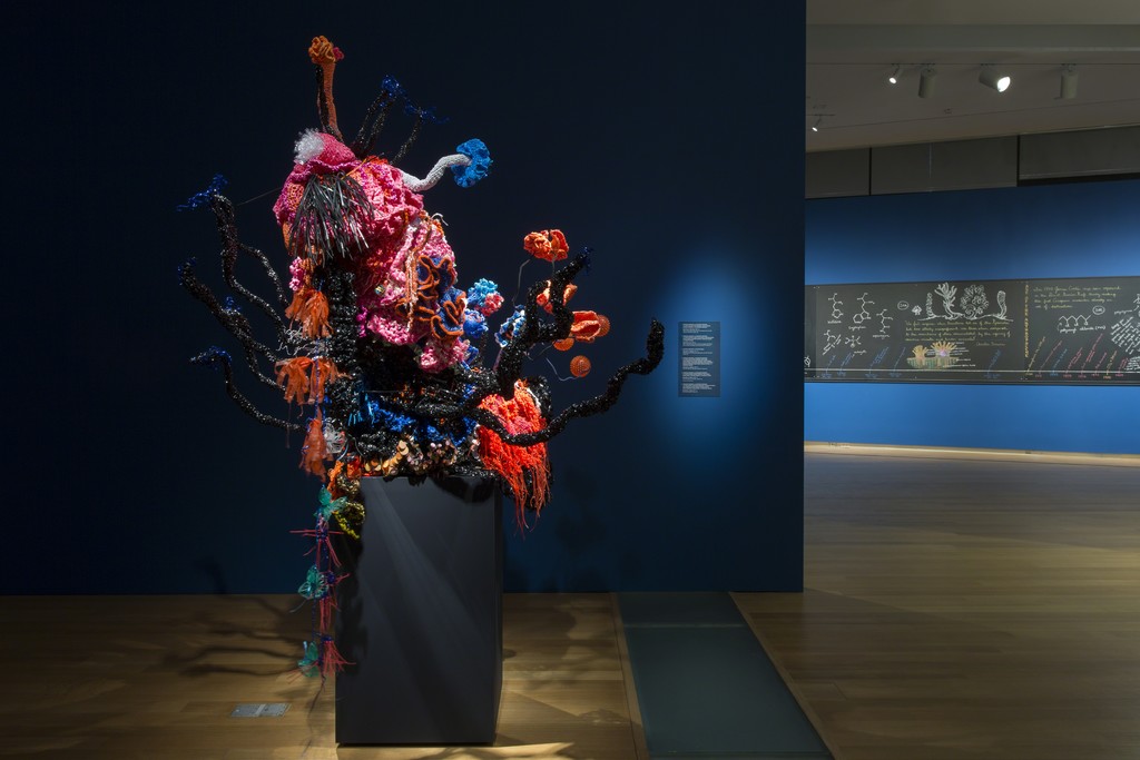 Installation view of 'Crochet Coral Reef: TOXIC SEAS', 2016. Photo by Jenna Bascom. Courtesy of the Museum of Arts and Design. Installation view of 'Crochet Coral Reef: TOXIC SEAS', 2016. Photo by Jenna Bascom. Courtesy of the Museum of Arts and Design.