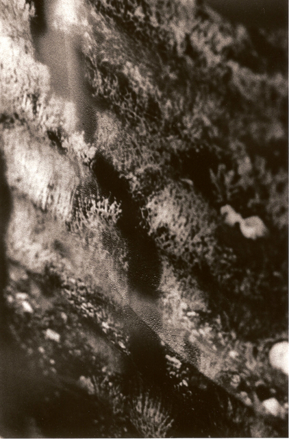 MARIKO SHINDO, ‘1388’, 2006, Aki Gallery