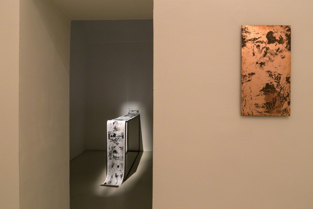Francesca Grilli_Anger_2015_exhibition view Francesca Grilli_Anger_2015_exhibition view