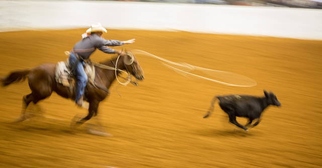 Rima Canaan Lee, ‘Roping’, 2014, Photography, Archival pigment print, Talley Dunn Gallery