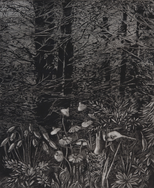 Nostomania - No 7 — Erol Eskici (2014)