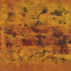 Vasudeo S. Gaitonde