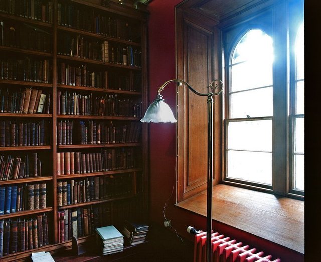 Tali Amitai-Tabib, ‘Things seen in Oxford, Mag 2’, 2014, Photography, Manual C-Print, Corridor Contemporary