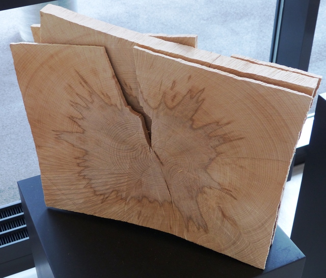 Urs P.-Twellmann, ‘Buche Dreilagig’, 2016, GALERIE URS REICHLIN