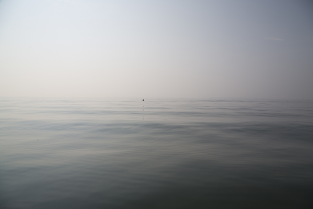 Thomas Halaczinsky, ‘Oyster Pond (Orient Harbor)’, 2018, VSOP Projects