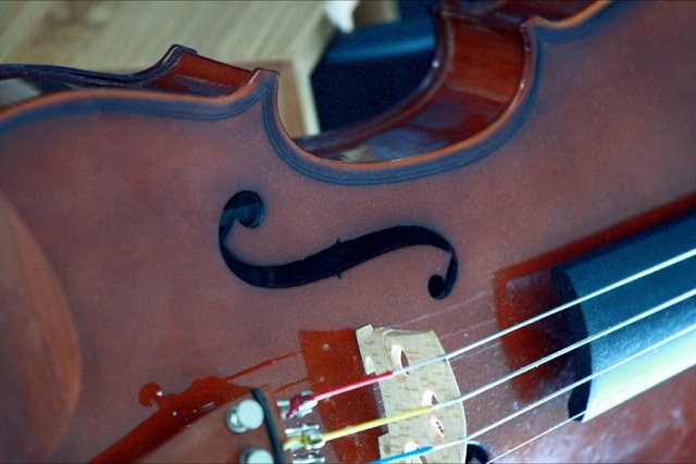 Cynthia Mahler, ‘Violino II’, Photography, Inn Gallery