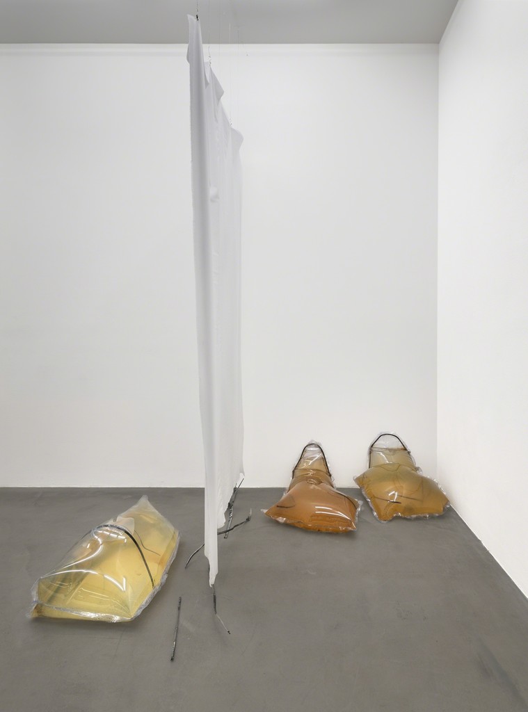 Installation view, Cannibals, 2015, Photocredit Joachim Schulz, Courtesy Croy Nielsen Installation view, Cannibals, 2015, Photocredit Joachim Schulz, Courtesy Croy Nielsen