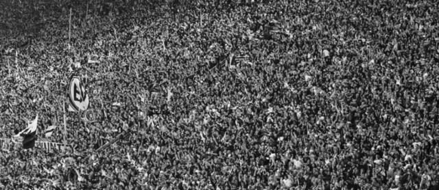 David Yarrow, ‘Unity’, 2015, Isabella Garrucho Fine Art