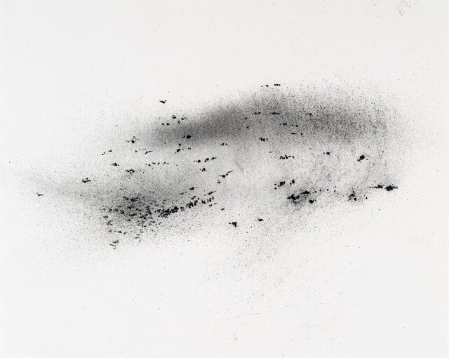 ''Dust'' Series — Çağla Köseoğulları (2023)