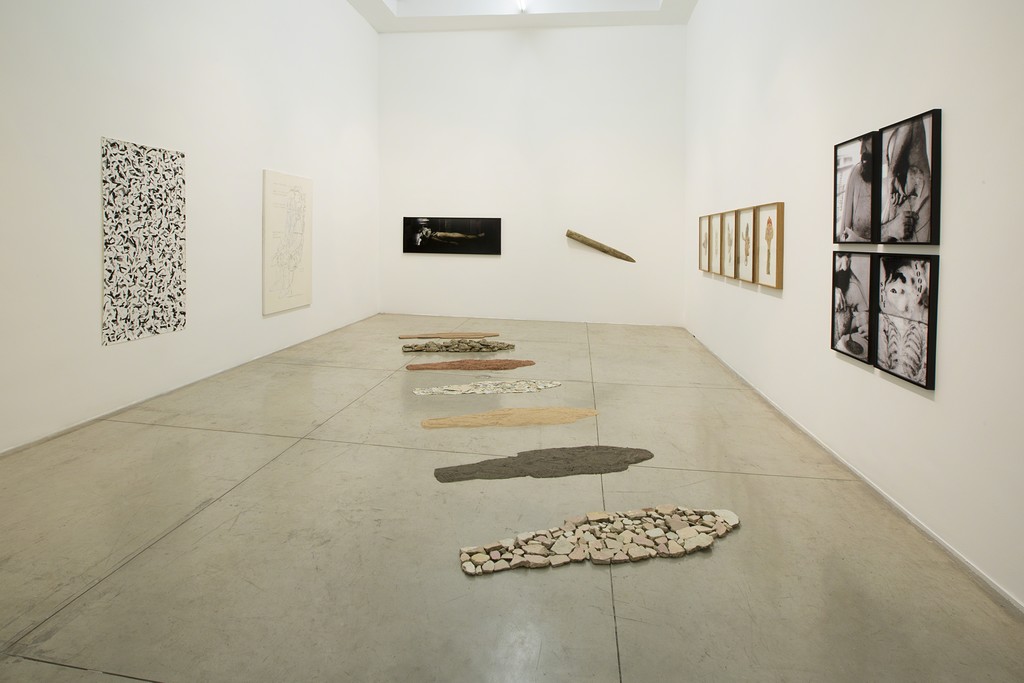 Exhibition View -- Photo Everton Ballardin © Galeria Nara Roesler Exhibition View -- Photo Everton Ballardin © Galeria Nara Roesler