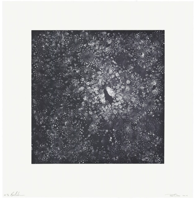 The Oakes Twins, ‘Cauli-Cosmos’, 2014, Print, Intaglio on Revere Standard White Felt paper, Universal Limited Art Editions