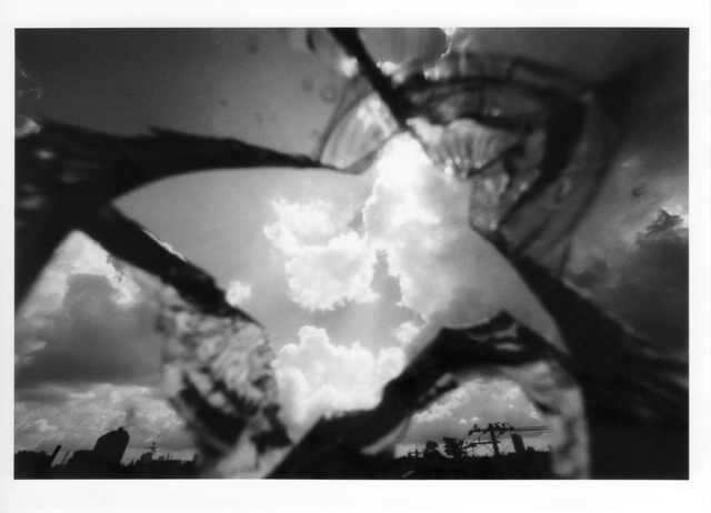 Nobuyoshi Araki, ‘August’, 2014, Alex Daniels - Reflex Amsterdam