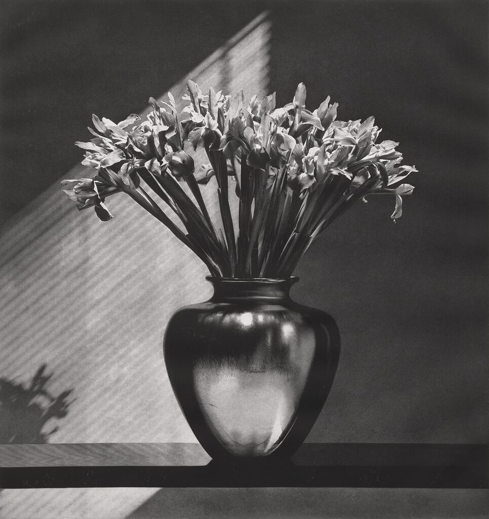 Robert Mapplethorpe - Irises