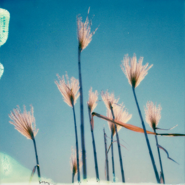 Julia Beyer, ‘All That Matters’, 2016, Instantdreams