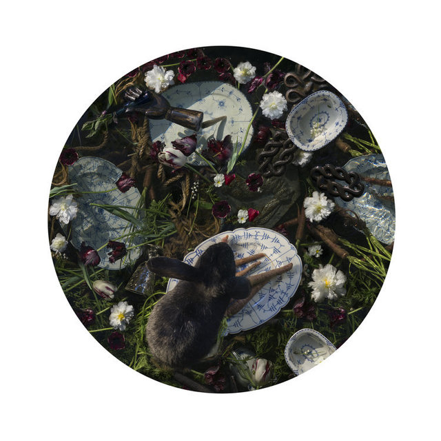 Kahn & Selesnick, ‘Black Rabbit’, Yancey Richardson Gallery