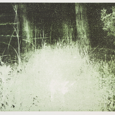 Glen Baldridge