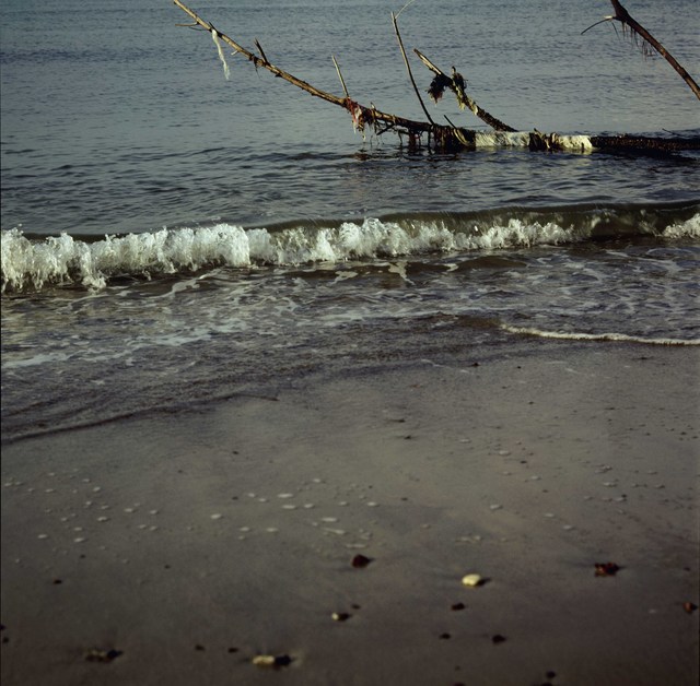 Simryn Gill, ‘Channel’, 2014, Jhaveri Contemporary
