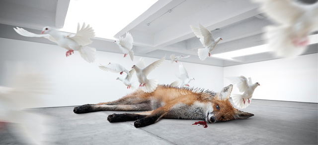 Fabian Bürgy, ‘Dead fox’, 2014, Alfa Gallery