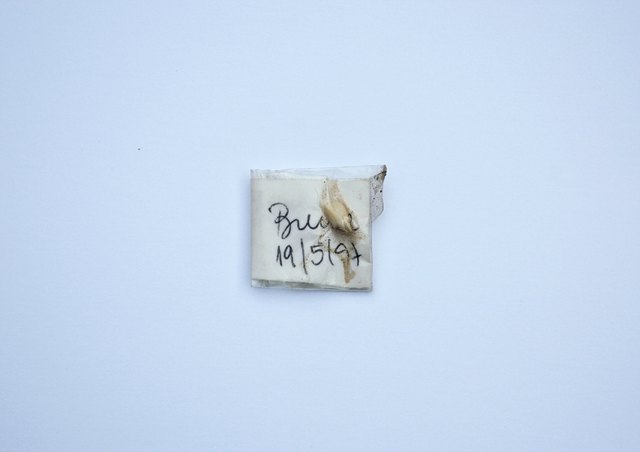 Eduardo Montelli, ‘Série "Fada do dente"’, 2015, Largo das Artes