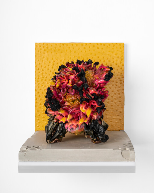 Lend Me An Ear — Irmak Canevi (2024)