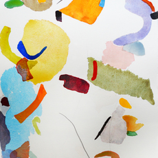 Cathleen Cohen