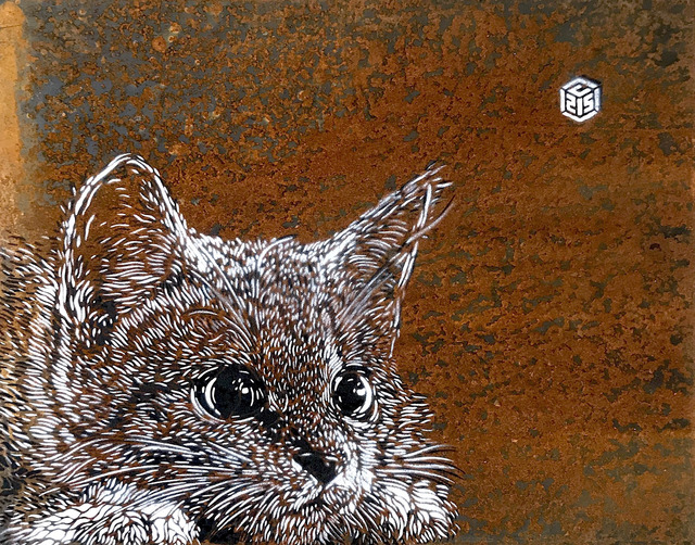 C215, ‘Lying Cat ’, 2018, Mazel Galerie