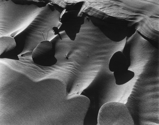 Brett Weston, ‘Dune’, 1977, Photography, Vintage silver gelatin print, Michael Hoppen Gallery