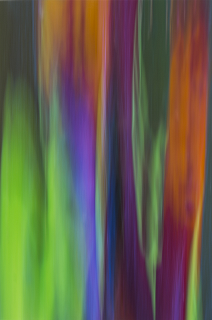 Damián Hernández, ‘Cortezas, Colores en Movimiento - Filage IV’, 2015, Marion Gallery