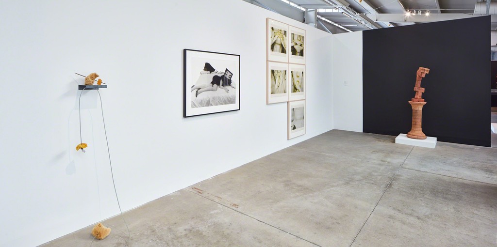 Installation view of Based on a True Story: Highlights from the di Rosa Collection. October 26, 2016 - May 28, 2017. di Rosa, Napa. Photo: Johnna Arnold Installation view of Based on a True Story: Highlights from the di Rosa Collection. October 26, 2016 - May 28, 2017. di Rosa, Napa. Photo: Johnna Arnold