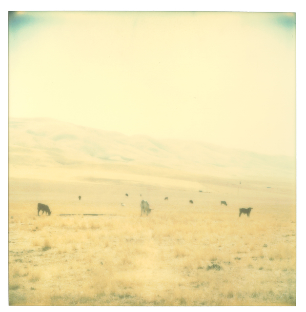 Stefanie Schneider, ‘Untitled’, 2004, Photography, Analog C-Print, hand-printed by the artist on Fuji Crystal Archive Paper, based on a Polaroid, not mounted, Instantdreams