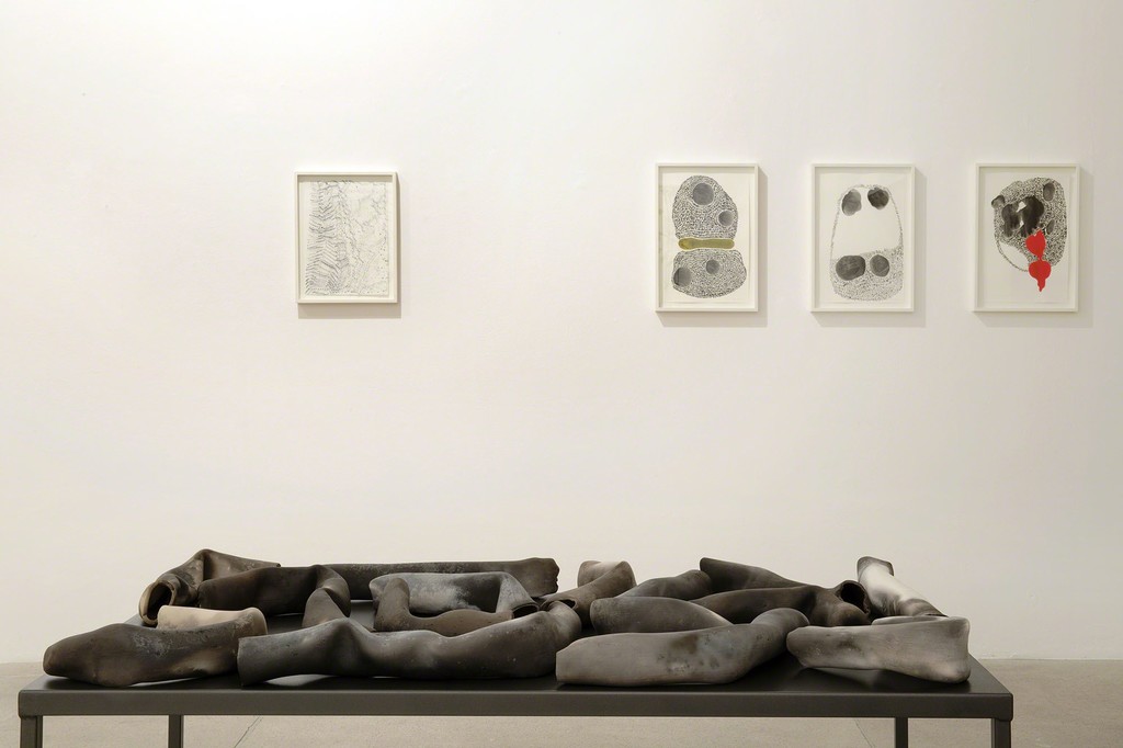 Anna Maria Maiolino, 2015, installation view at Galleria Raffaella Cortese, Milano, photo: Lorenzo Palmieri Anna Maria Maiolino, 2015, installation view at Galleria Raffaella Cortese, Milano, photo: Lorenzo Palmieri