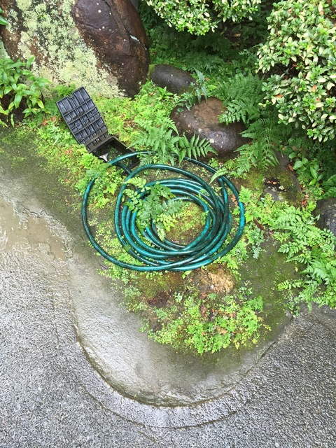Gabriel Orozco, ‘Manguera verde’, 2015, kurimanzutto