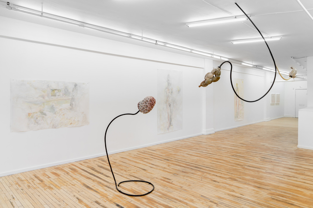 Jennifer Rose Sciarrino, ‘From Root to Lip (spore)’, 2018, Projet Pangée