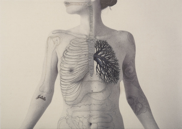 Juana Gomez, ‘SYSTEM ’, 2016, Isabel Croxatto Galería