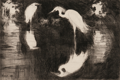 Dark Pool
