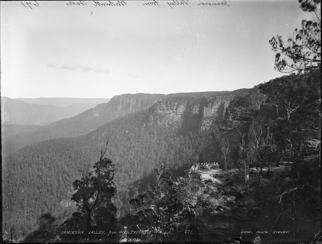 Kerry & Co. Studio, ‘Jamieson Valley from Wentworth Falls’, ca. 1900, Powerhouse Museum