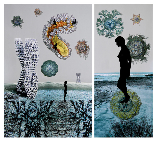 Sonia Mehra Chawla, ‘ TRANSITORY SHORES & BIOMORPHIC DAYDREAMS II’, 2013, Mixed Media, Mixed media on archival canvas, Exhibit 320