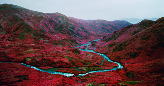 Richard Mosse, ‘Love Is The Drug’, 2012, Fondation Phi