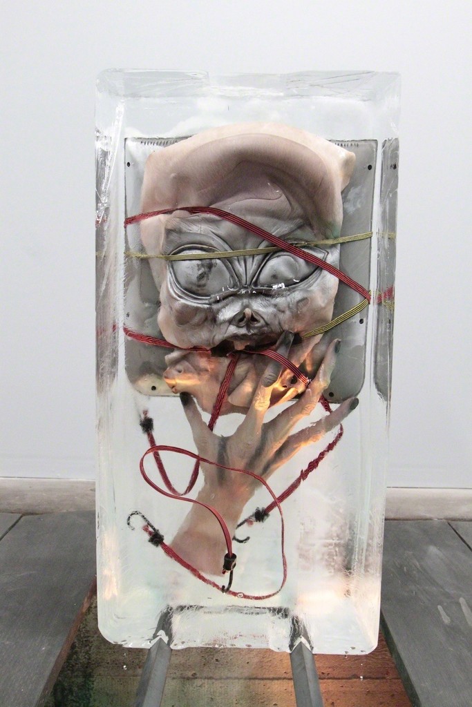 Mateo Tannatt, Untitled (Edible Block), 2015, Clinebell ice block with variable frozen contents, dimensions variable. Mateo Tannatt, Untitled (Edible Block), 2015, Clinebell ice block with variable frozen contents, dimensions variable.
