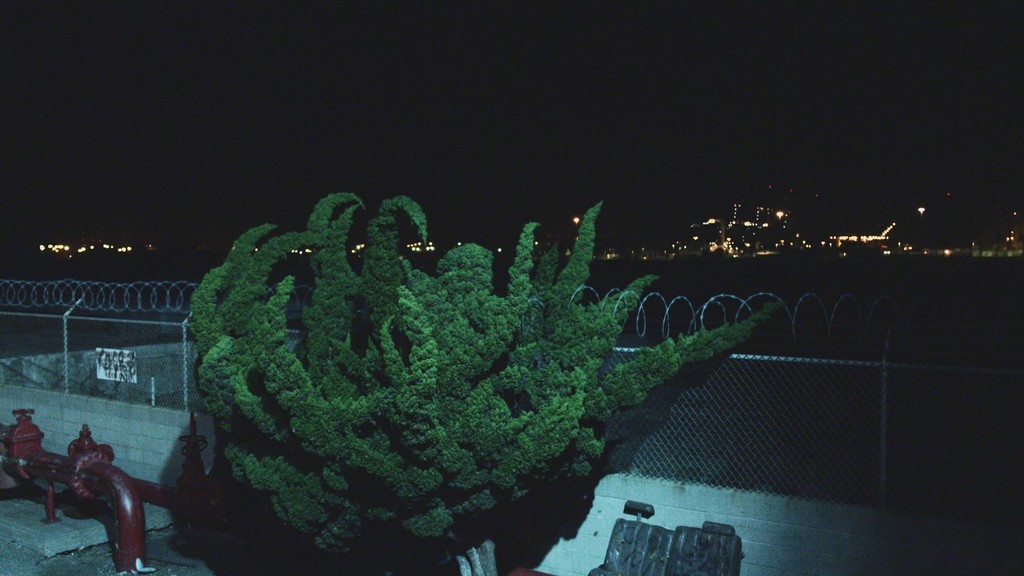 Cyprien Gaillard NIGHTLIFE, 2015
Digitaler-3-D-Film DCI DCP, 14'28'', Farbe, Ton/ digital 3 D motion picture DCI DCP, 14'28'', color, sound
Courtesy of the artist and Sprueth Magers Berlin/ London
© BLACK MAN’S PRIDE featuring the performance of Alton Ellis is licensed by Jamaica Recording and Publishing Studio Limited,. 13 Studio One Boulevard, Kingston 5, Jamai Cyprien Gaillard NIGHTLIFE, 2015
Digitaler-3-D-Film DCI DCP, 14'28'', Farbe, Ton/ digital 3 D motion picture DCI DCP, 14'28'', color, sound
Courtesy of the artist and Sprueth Magers Berlin/ London
© BLACK MAN’S PRIDE featuring the performance of Alton Ellis is licensed by Jamaica Recording and Publishing Studio Limited,. 13 Studio One Boulevard, Kingston 5, Jamai