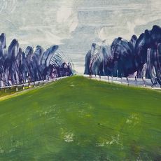 Deborah Freedman