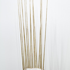 Elaine Cameron-Weir